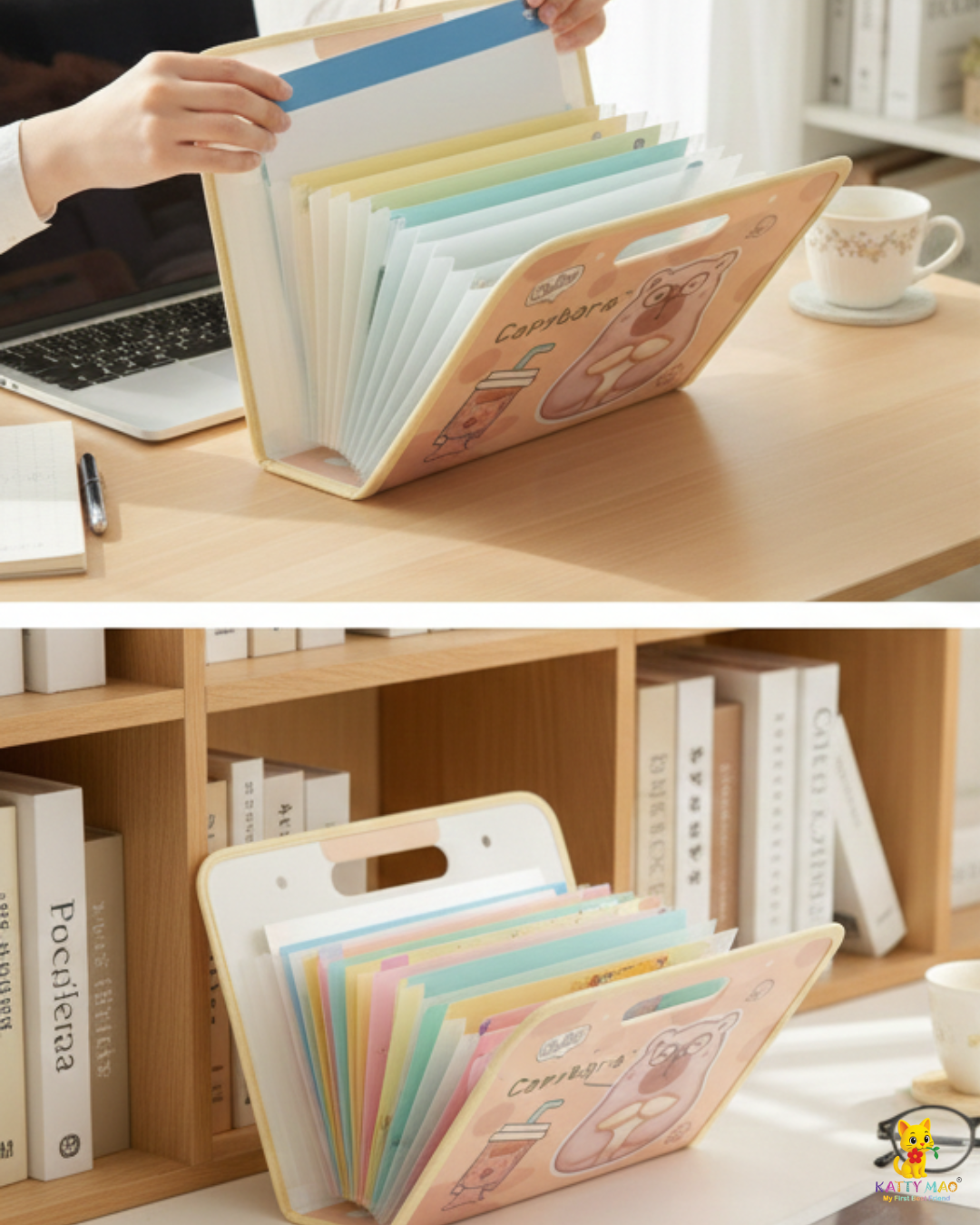 Capybara Expandable Folder | Multi-Pocket | File Organiser with Handle.